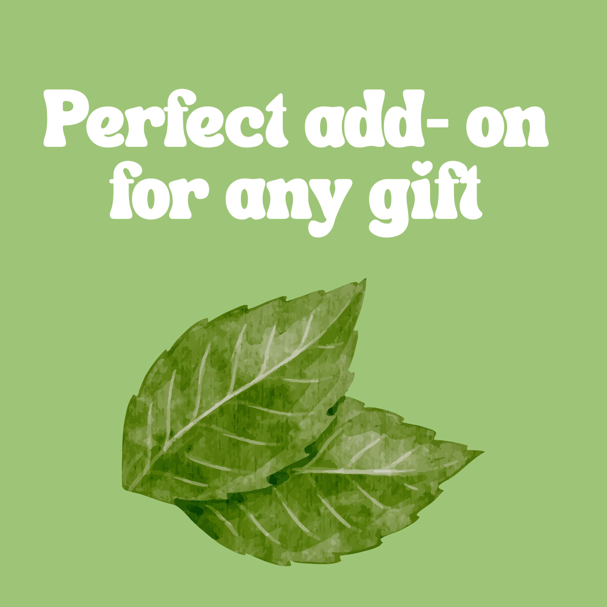 Mint - Natural Lip Balm Tin