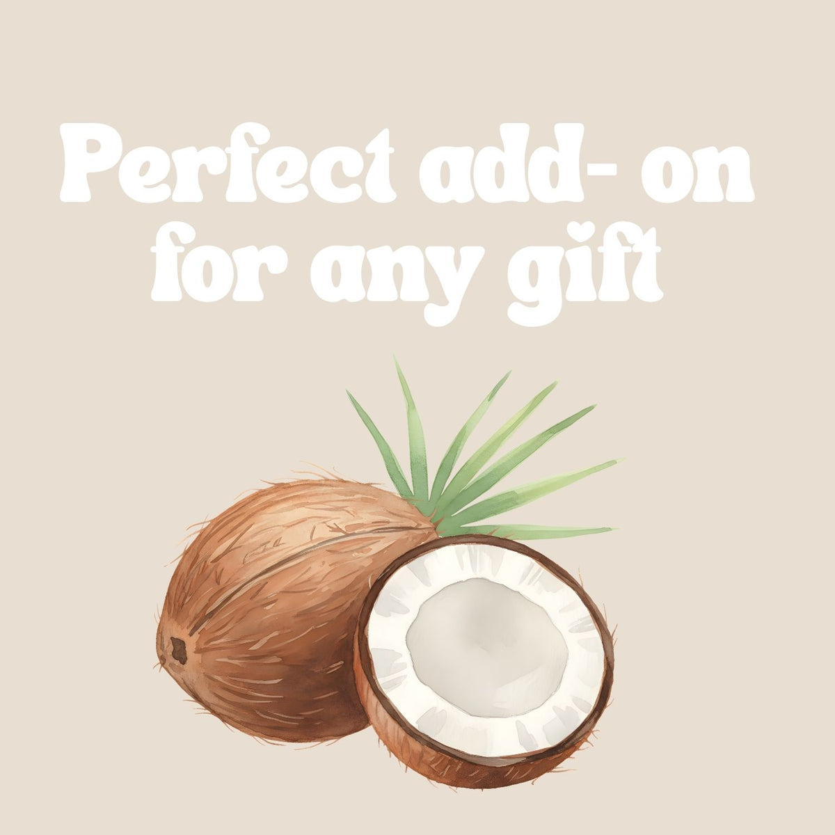 Coconut  - Natural Lip Balm Tin